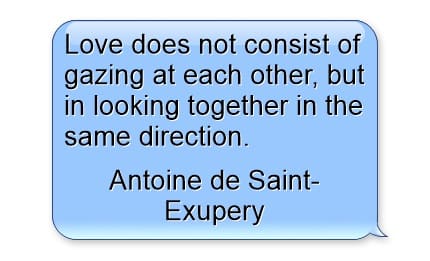 "Love does not consist of gazing at each other, but in looking together in the same direction." ~ Antoine de Saint-Exupery