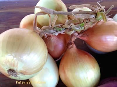 Candy globe shaped yellow onions can keep for about 3 months. Chopped and frozen, they will keep for a full year.
