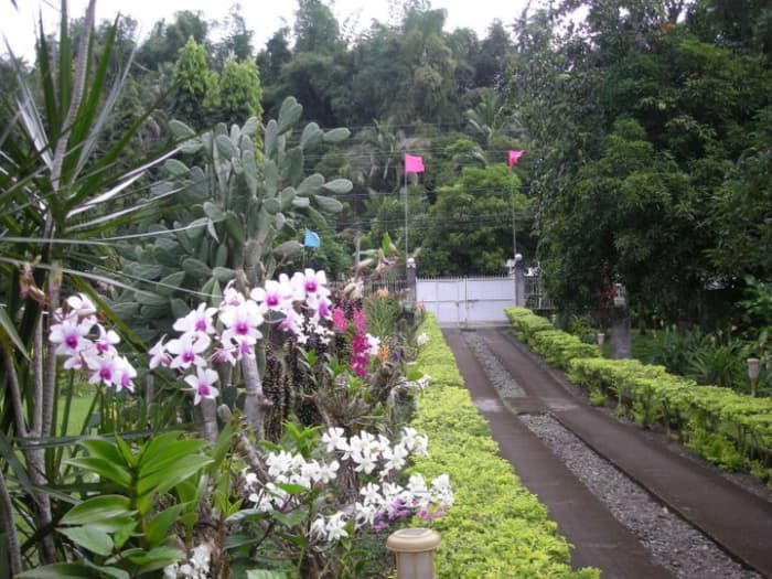 The Philippines is a tropical country. There is an abundance of insects, flies, ants and other tropical pests. Be prepare for it and bring a lot of insect repellents.