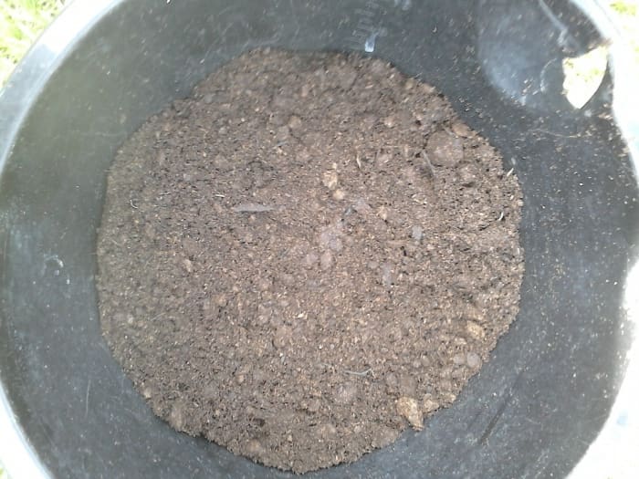 If you don't have a potato bag then you might try using an old bucket that you have. Just put some holes in the bottom of it.