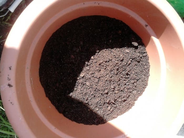 If you have any big pots that you used for plants or shrubs then you might like to try planting your potatoes in this type of container.