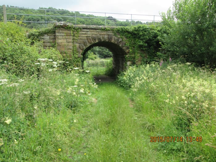 Along the route of the North Yorkshire Moors Railway near Grosmont, this cattle creep nestles amid overgrown banks of weeds and bushes