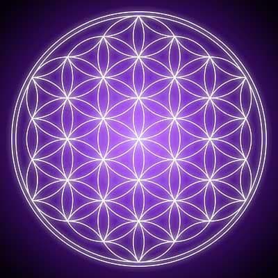 The Flower of Life is an ancient symbol representing the cycle of life and contains within it the five Platonic Solids.