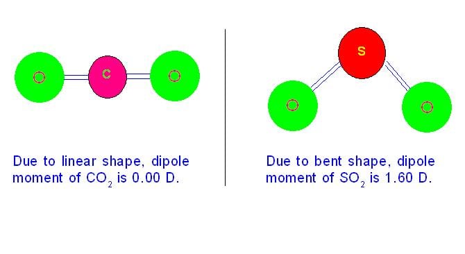 In carbon dioxide, due to its linear shape, individual dipole moments of two C=O bonds cancels each other giving net value of zero. But due to bent shape sulphur dioxide shows dipole moment.