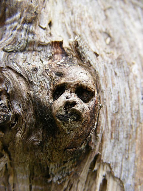 Goblin-like creatures are a staple of fairy legends throughout the world.