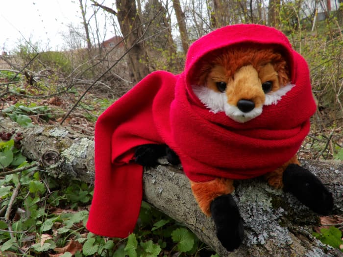 You will be meeting Robin and his merry band later, but our clever Todd is ready to guide you along the way.
