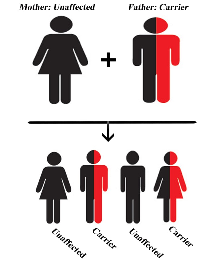 When the mother is unaffected and the father is a carrier; Chances for children with thalassemia: 0%, Chances for children who are carriers: 50%
