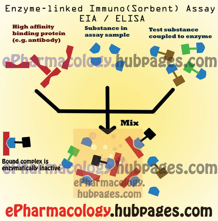Enzyme-linked Immuno(sorbent) Assay - EIA / ELISA: unlike RIA, here separation and radioactive materials are not needed for the final measurement!
