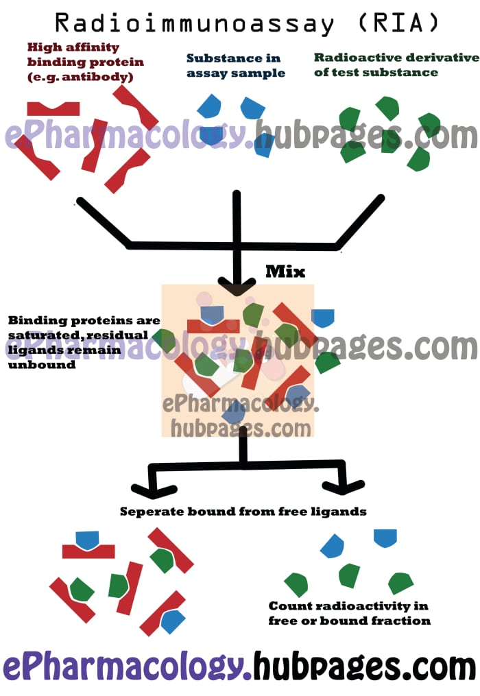Radioimmunoassay - a type of immunoassay where separation of the bound and free ligands is necessary before the final measurements.