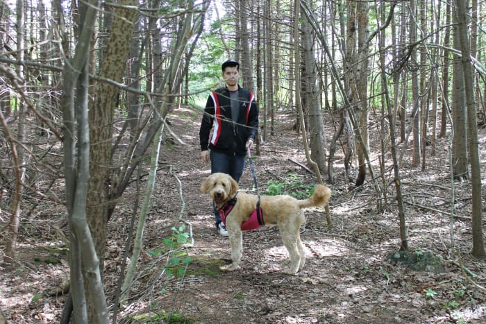 The author's son, Joshua, and Goldendoodle, Daisy, on a wooded trail in a section of the park's west end, on land that once belonged to former Newfoundland Prime Minister Richard Squires.