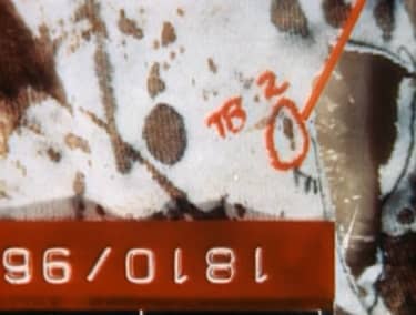 Similar to TB8, the shape of the TB2 stain shows it landed from the top of the shirt moving downward consistent with cast off from the knife at the shoulder level
