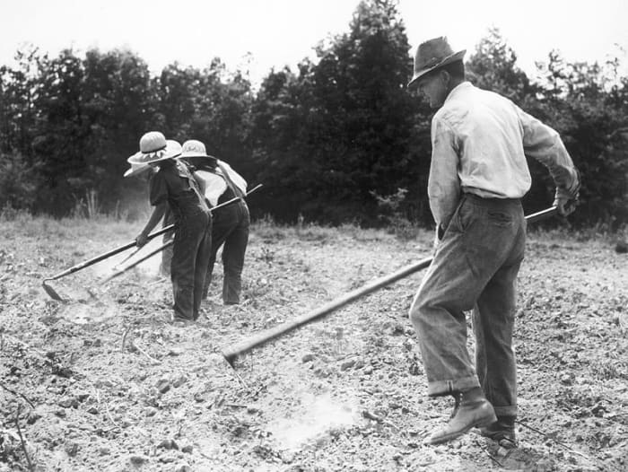 Many men, women, and families made money for food and other necessities for chopping cotton for themselves or someone else.