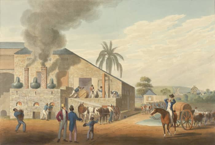 Slaves Set to work at the Antigua rum distillery, painting by William Clarke (1800s)