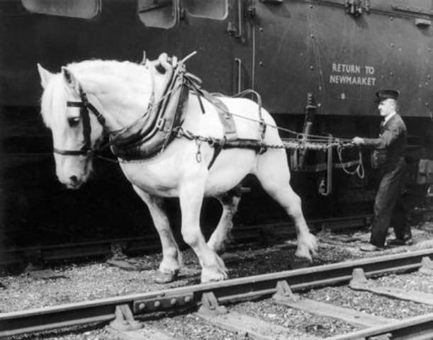 Shunting horse with driver. Horses used tended to be 'Shire' type, Clydesdales or Suffolks... Here a thoroughbred Clydesdale moves a horse box for throughbred racehorses