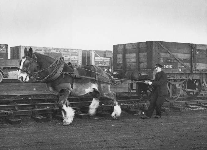 Horse shunting at Witham, Essex. Much of the land in Essex, Suffolk and Norfolk was fairly level - which probably gave someone the notion of using horses for shunting purposes long after the advent of steam