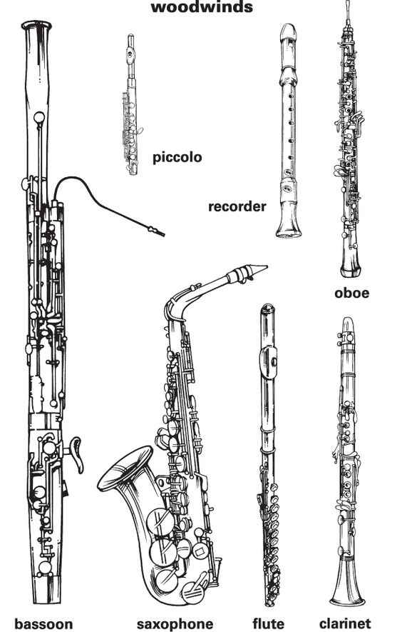 School Band Instruments Names How To Choose! HubPages