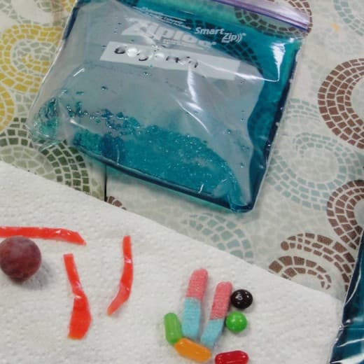 One of the activities we did this week at home: making an edible version of a cell while learning about its parts - I also included an all-fruit option if you'd prefer to stay away from candy.