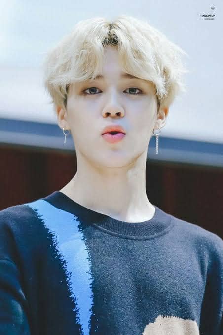Jimin Completes BTS with His Crazy Vocals - HubPages