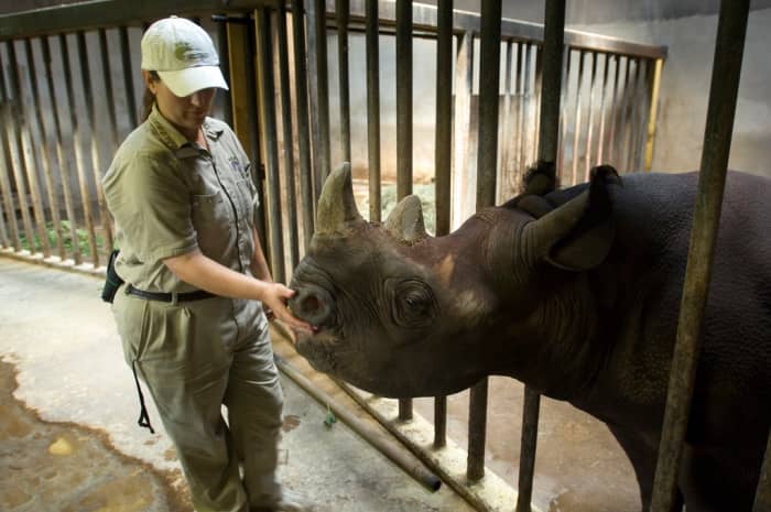 Photos like these give the public the impression that these animals spend their entire lives in small, bare, prison-like enclosures.
