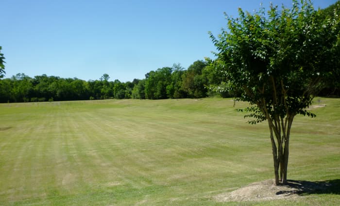 Looking from the parking lot across the reservoir part of the park, which is a green open space when not flooded with occasional water.
