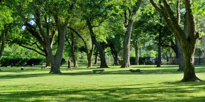 Carolyn H. Wolff Park: An Urban Arboretum in Houston - WanderWisdom