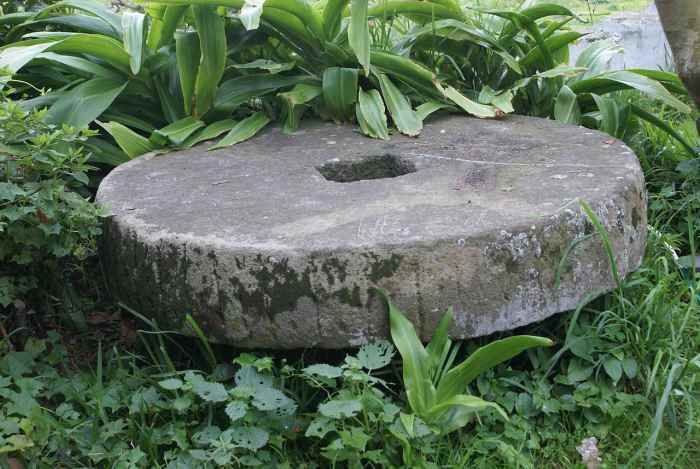Millstone used to grinde archil lichen in Azores.