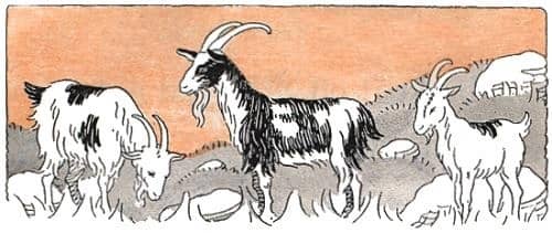The Three Billy Goats Gruff