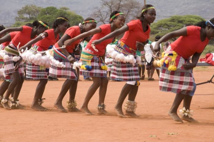 The tshigombela is a female dance usually performed by married women, this is a festive (winter months) dance sometimes played at the same time as the reed flute dance of the men (tshikona). Tshifhasi is similar to tshigombela but performed by young