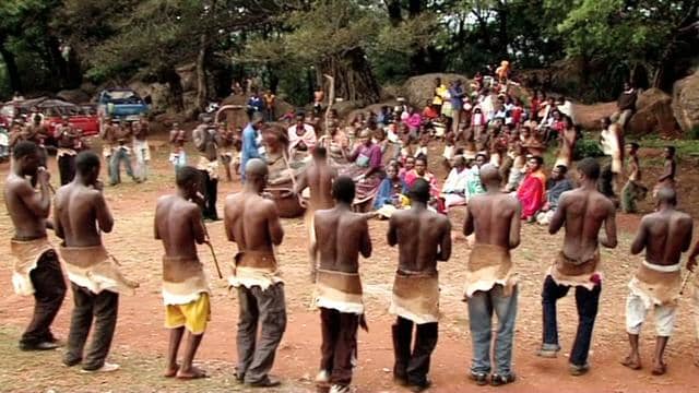 The tshikona is also traditionally a male dance in which each player has a pipe made out of a special indigenous type of bamboo growing only in few places around Sibasa and Thohoyandou (which no longer exists). Each player has one note to play, which