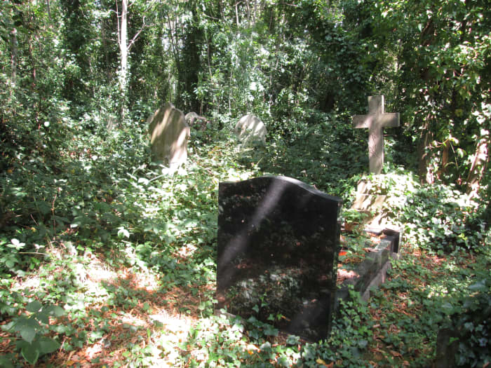 A path was beaten and well-trodden to this grave and no further, the family of the woman buried here not put off by the effort needed to tend to her grave. The memorial stone and surrounds are fairly new although she died during the last year of WWI
