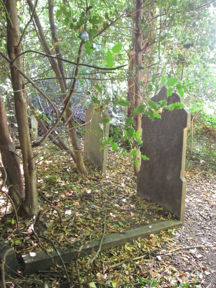 ... Others are spared the tendrils of ivy that have overgrown others, depending on the types of nearby trees. Visitors to their family graves may have abandoned their searches, moved away or emigrated...
