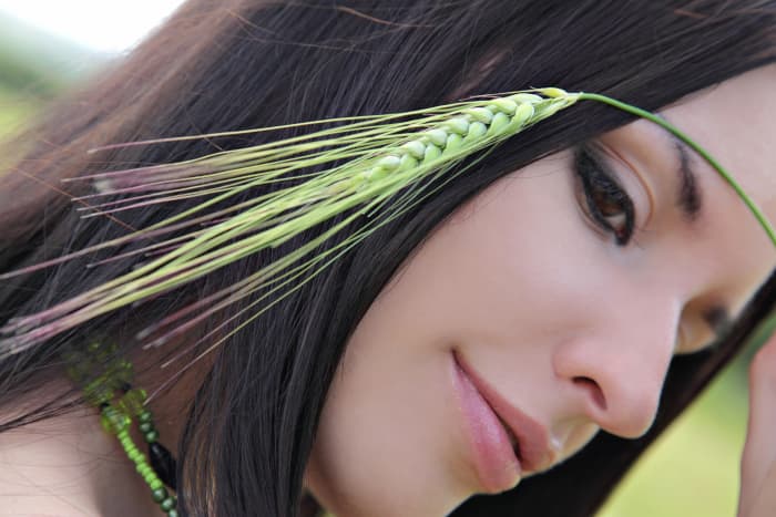Dude- you like grass, man? I'm of course talking about palm trees. What did you think I was talking about, maaaaannnnn?