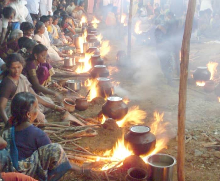 pongal being celebrated by the community