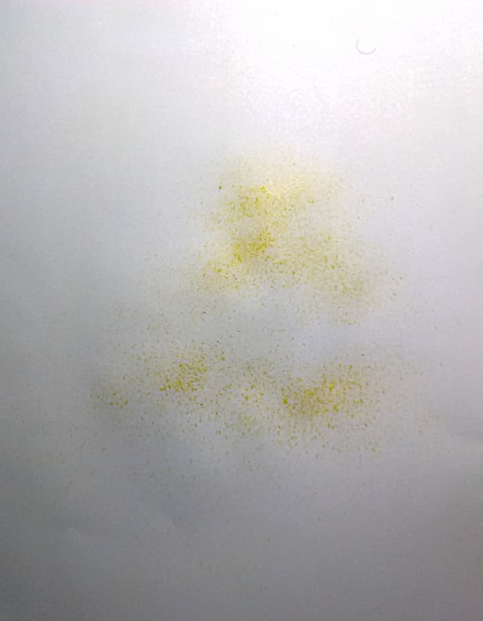 Usually yellow colored leaves are the surface ones. The further we move downwards the color of leaves changes to green and then to even darker green color.