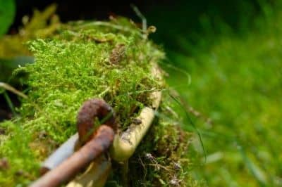 Update your garden with this easy do-it-yourself moss planter and fill it with your favourite flowers!