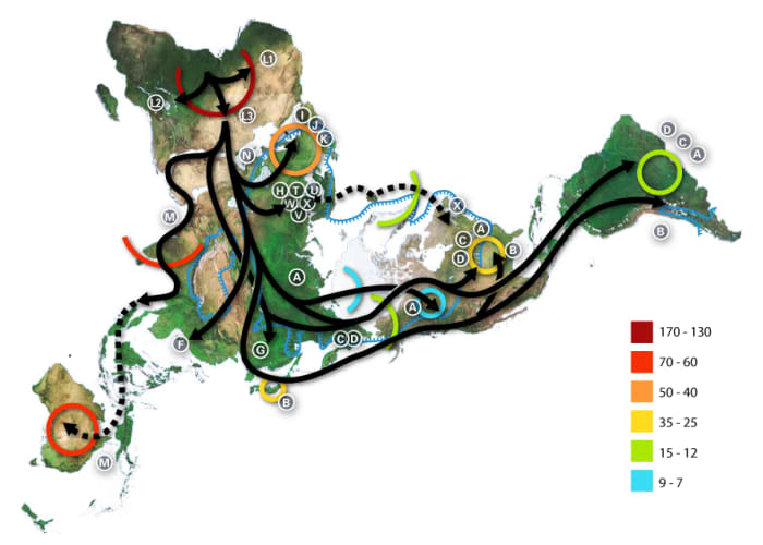 World map of human migrations, with the North Pole at center. Africa, harboring the start of the migration, is at the top left and South America at the far right. Migration patterns are based on studies of mitochondrial (matrilinear) DNA. Numbers