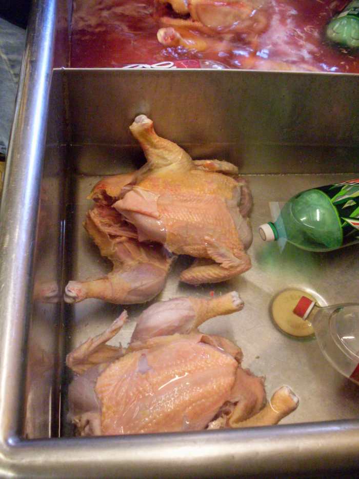 Put the birds in rinse water until packaging time. If you do this cleaning phase well, there will be nothing left to do when you get your chickens out of the freezer to cook.