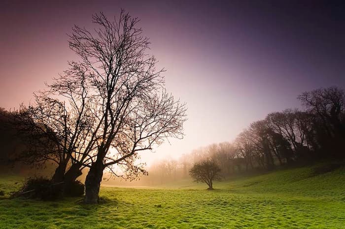 Talbot Valley, St Andrews Parish, picture courtesy of http://www.pbase.com/danedmunds/image/84077927