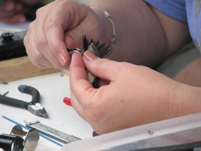 A Master Bander gently places a tiny numbered band on the leg of a Ruby-throated hummingbird. The bird is examined, weighed and measured before being released.