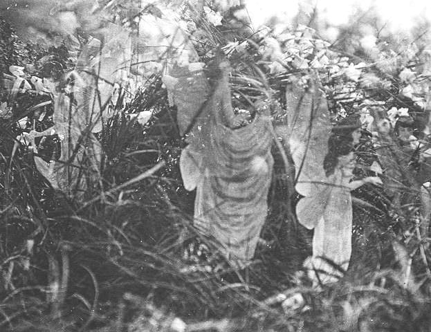 This is the "fifth" picture in a series of the five pictures that were taken in 1917, the one that in 1983 Elsie, the older of the two girls, claimed was genuine.