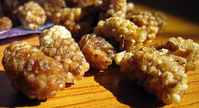 Taking dried mulberries is a good alternative to fresh mulberries to enjoy its many health benefits