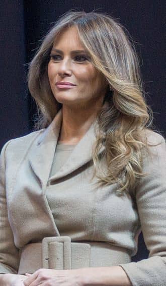 DISORGANIZED TRUMP CAMPAIGN ORGANIZATION CREATED AN EXTREMELY EMBARRASSING 36 HOURS BY ACCIDENTALLY PLAGIARIZING PART OF MICHELLE OBAMA'S SPEECH IN 2008 FOR HER KEYNOTE SPEECH.
