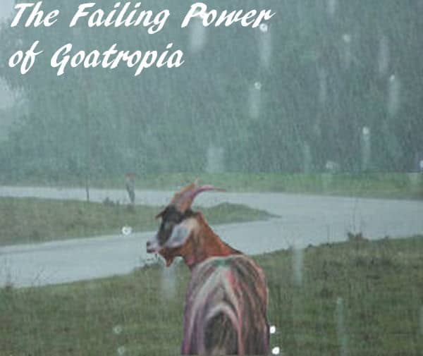 Why Goats Don't Like Rain HubPages