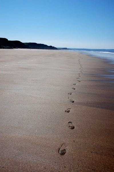 Wikimedia Footprints in the Sand by Philip Halling
