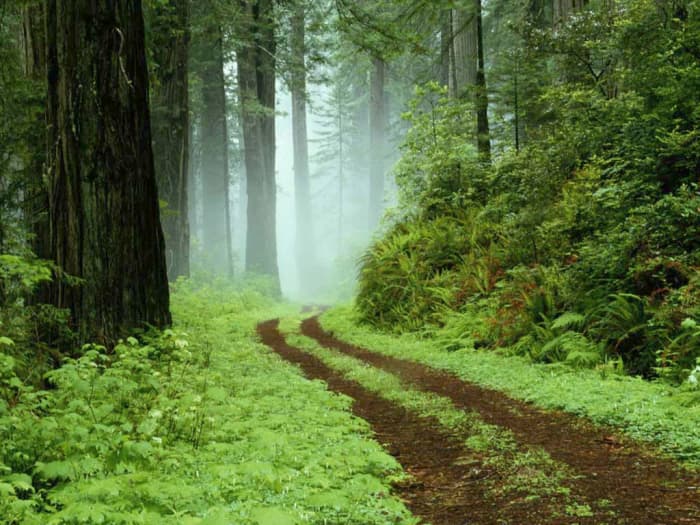He met the most beautiful maiden wearing the purest of all colors on his way to the mountain.