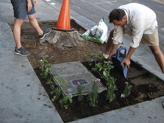 Guerrilla gardening can include creating vegetable plots or simply adding green and colour to an urban landscape