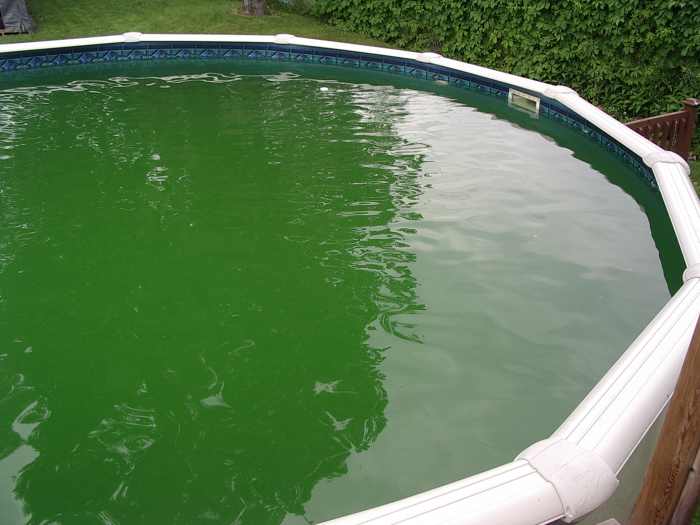 Balancing a Swimming Pool? Why and How? HubPages