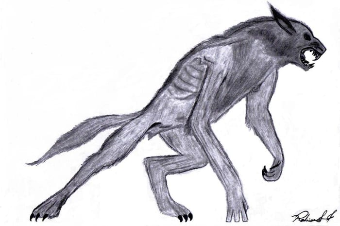 Some people have magical animals, like the werewolf, for their shadow
