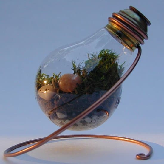 The source shows a few ways to reuse light bulbs as planters or decoration. I always feel bad throwing away light bulbs (I always thought they were sort of elegant and pretty)--now maybe I can give them new life instead.