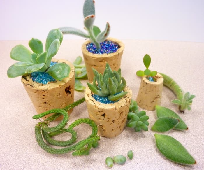 Using a cork, soil, and some seed beads you can create adorable succulent micro planters.
